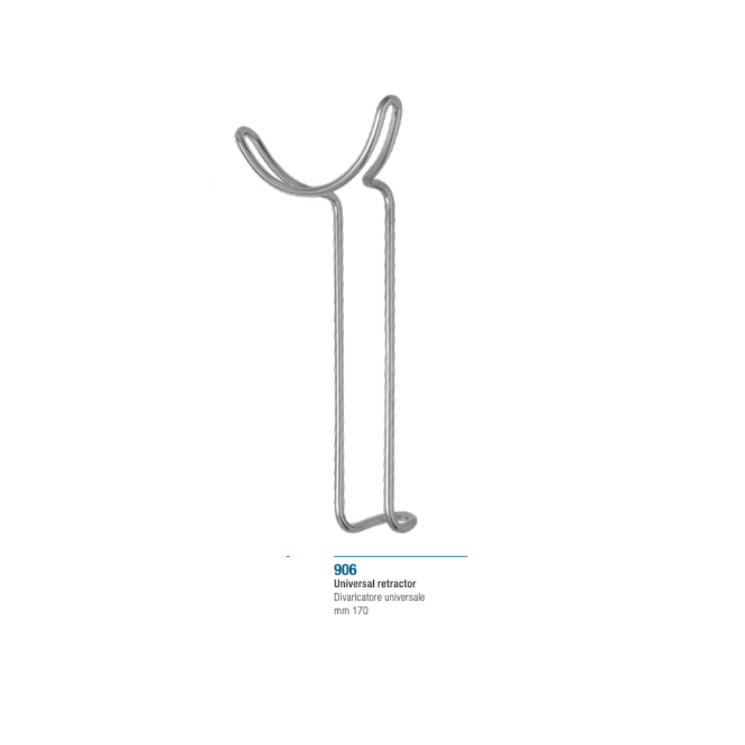 Vestibulum