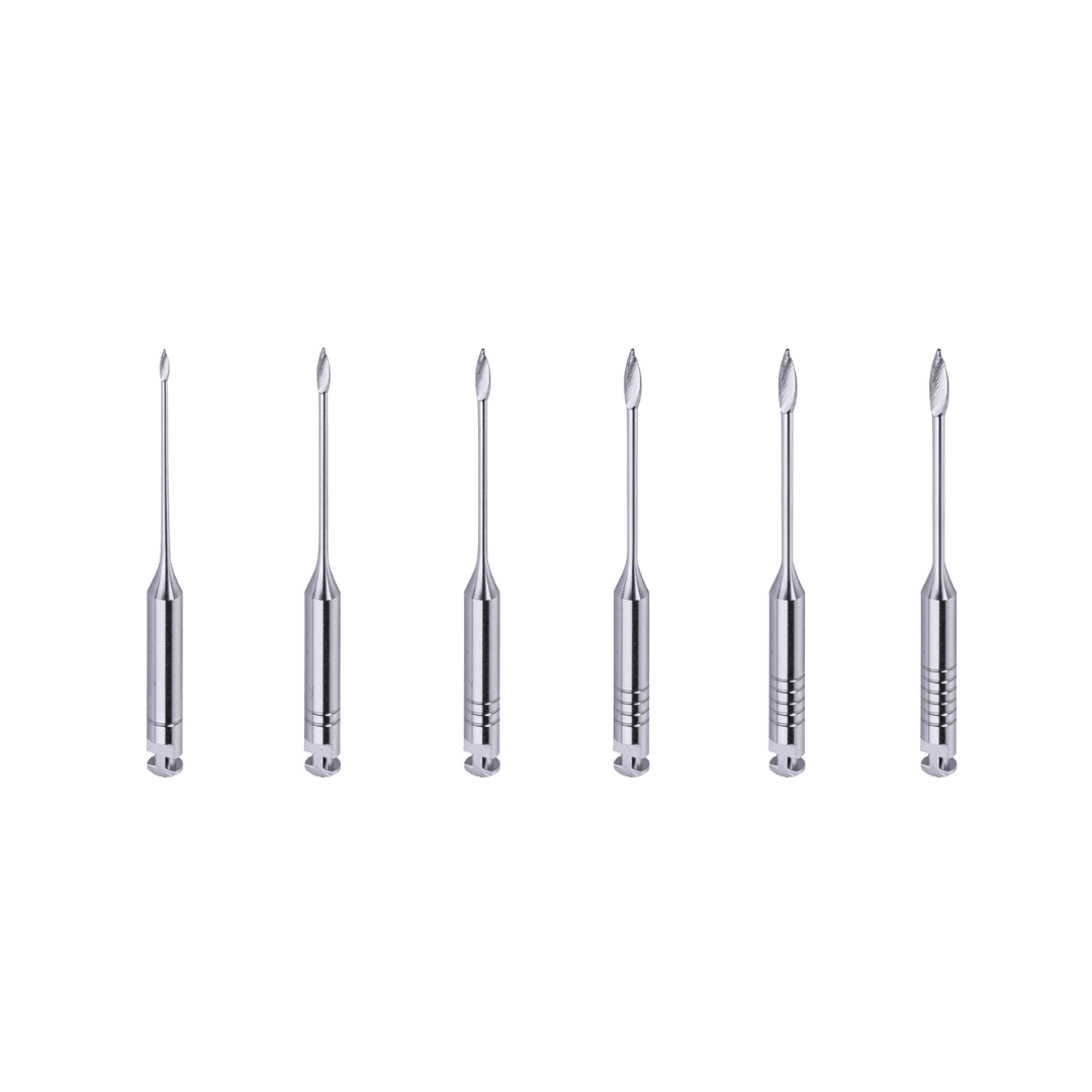 Forets de gates Dentoclic (x6)