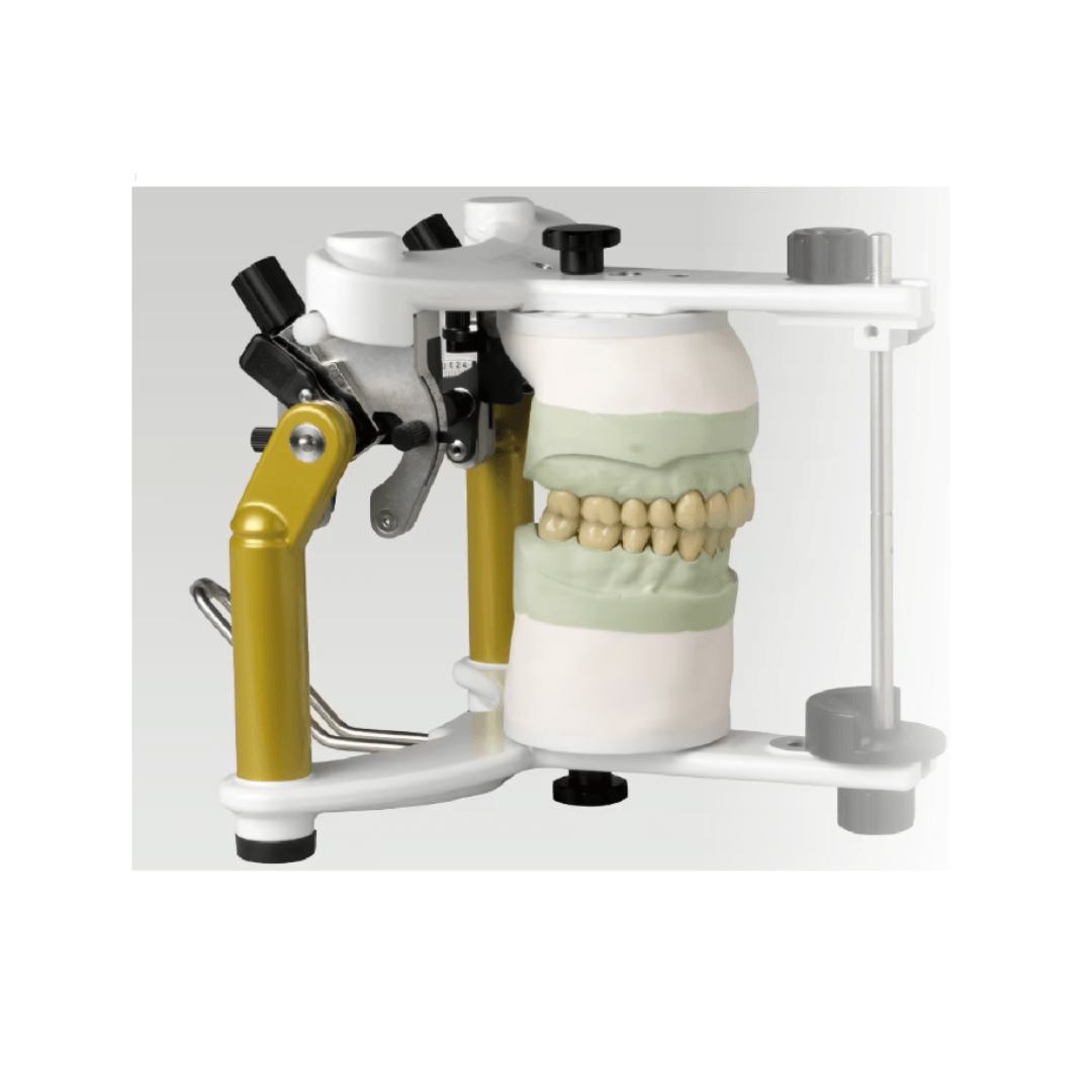 Articulateur Stratos 300