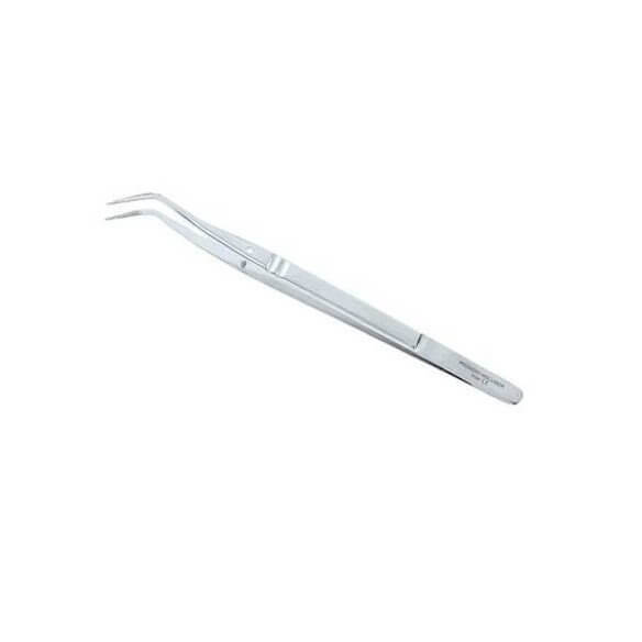 Precelle College Lisse N°2 15cm