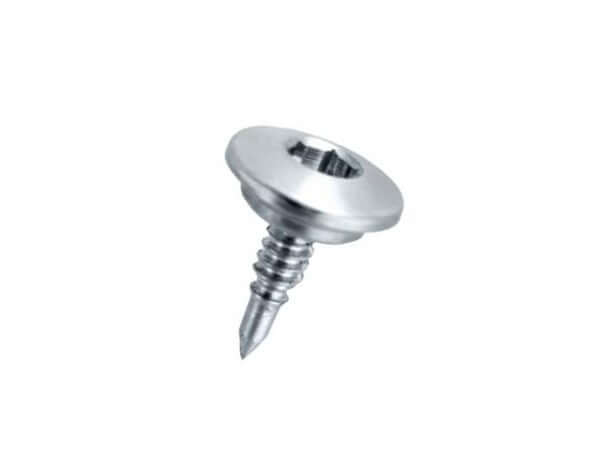 Micropins en Titane