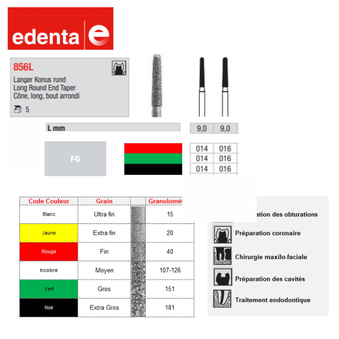 Fraise Congé Moyenne (x5)