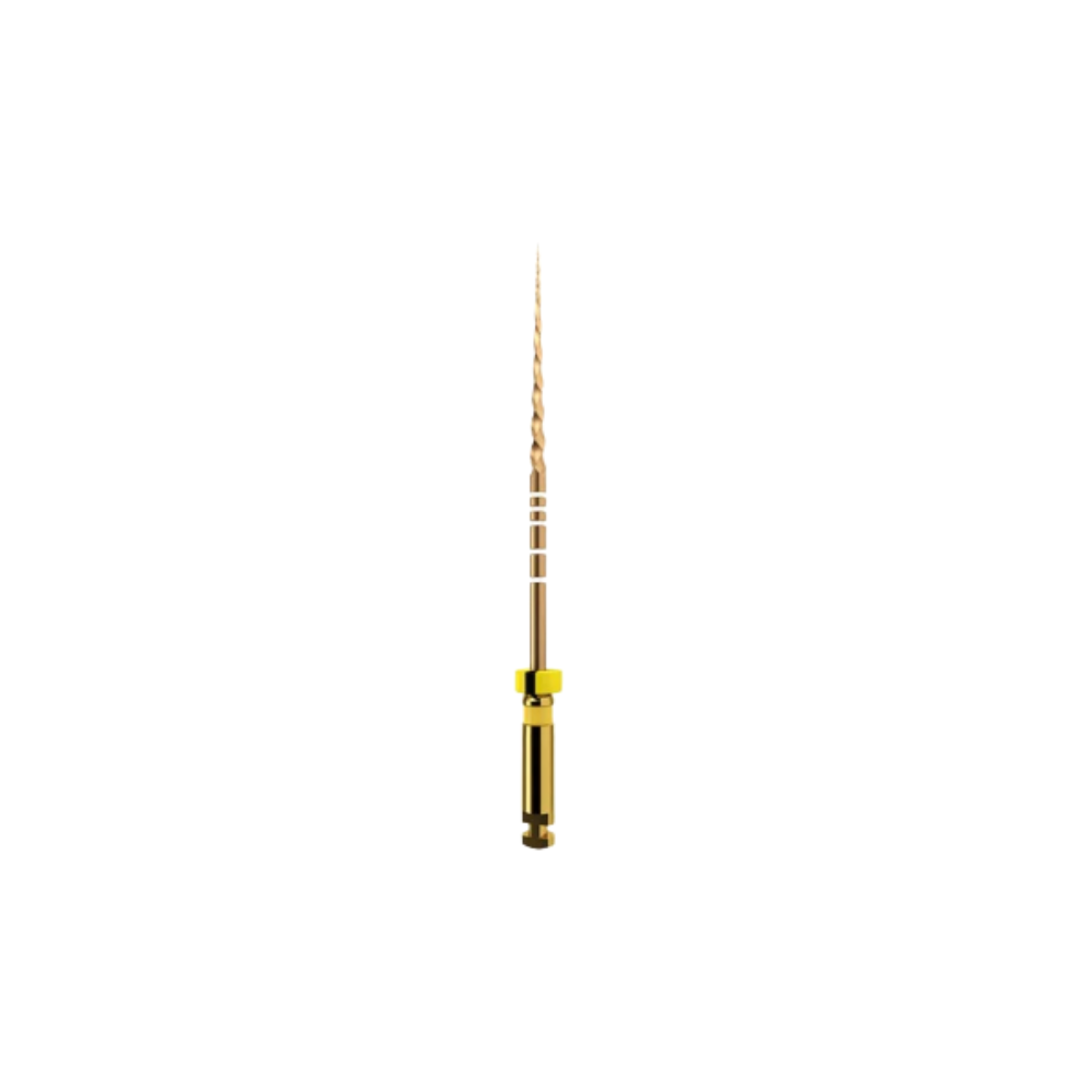 Protaper Gold (x6)