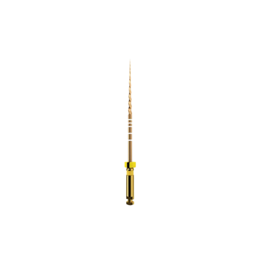 Protaper Gold (x6)