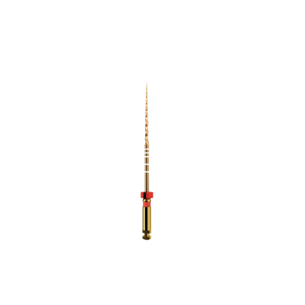 Protaper Gold (x6)