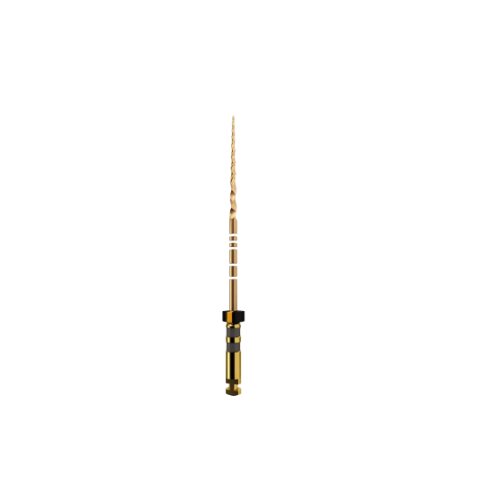 Protaper Gold (x6)