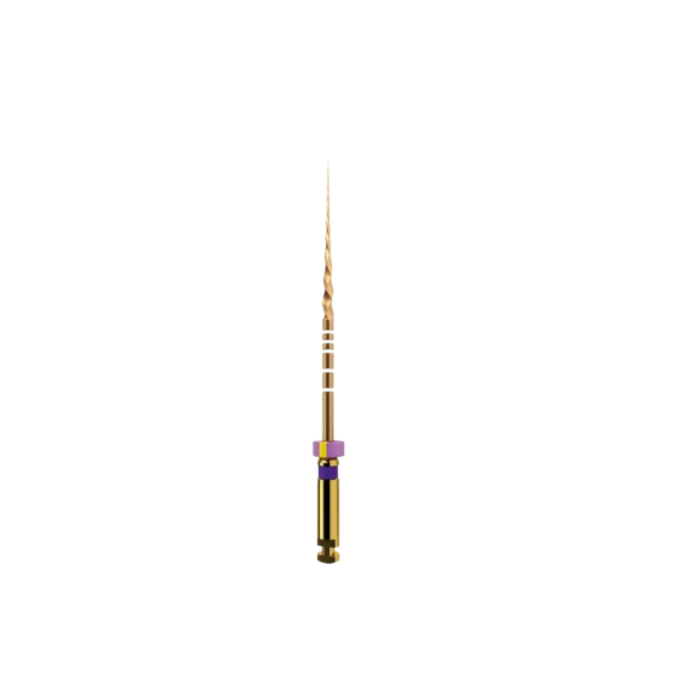 Protaper Gold (x6)