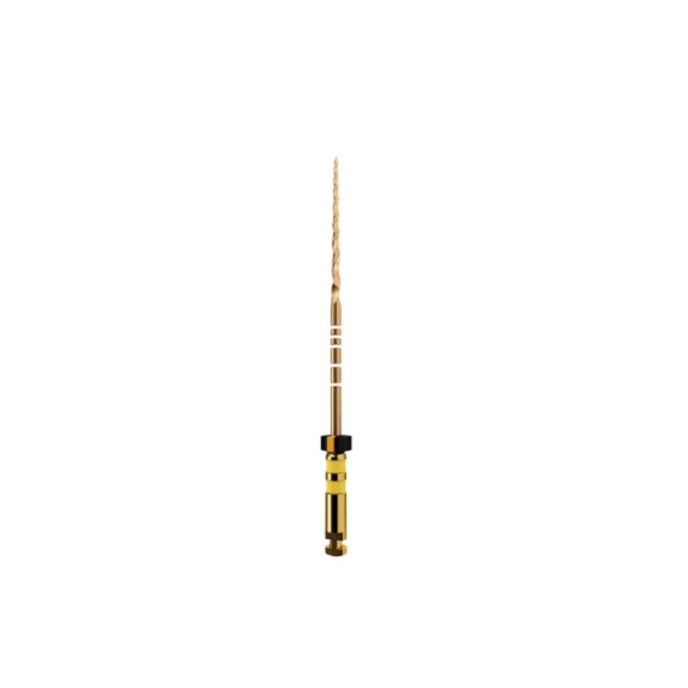Protaper Gold (x6)