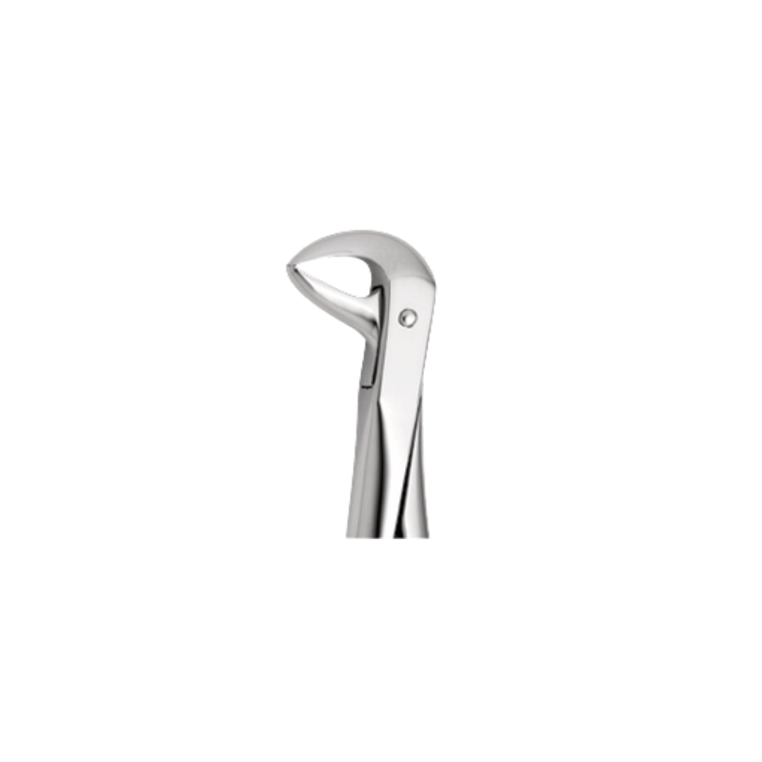 Daviers Mandibulaire (Bas) Pédo