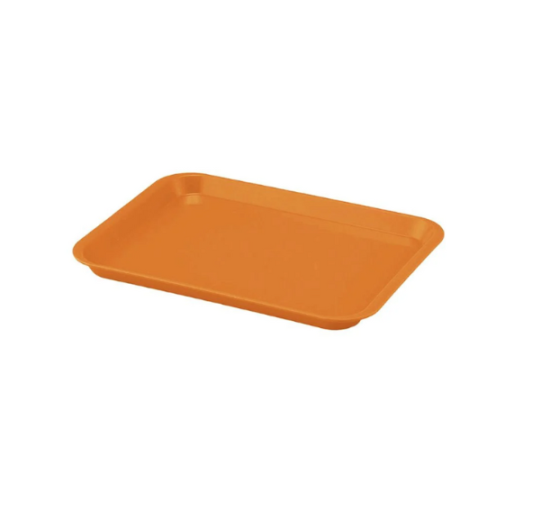 Petit Plateau autoclavable plat (23.5x16)