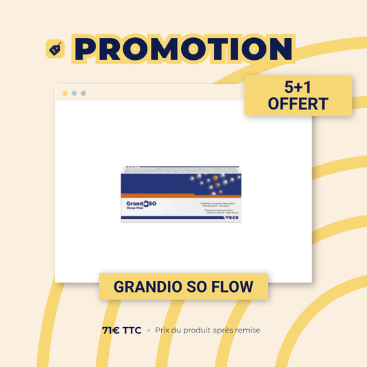 Grandio So Heavy Flow (2x2g)