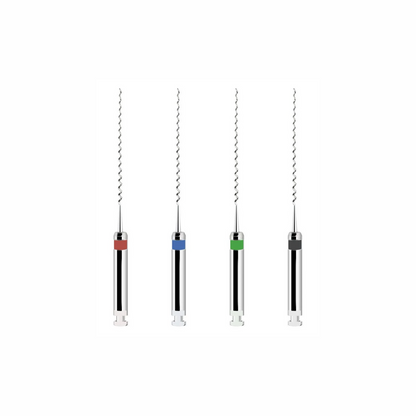 Bourre Pates- Lentulo (x4)
