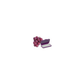 Cire Dentaire (x50)